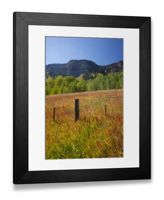 Framed Print : USA, Colorado, San Juan National Forest, along highway 550 Framed Print : USA, Colorado, San Juan National Forest, along highway 550