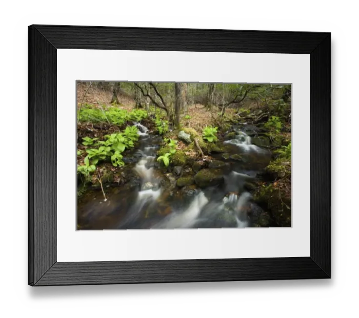 Framed Print : USA, North America, Connecticut Framed Print : USA, North America, Connecticut