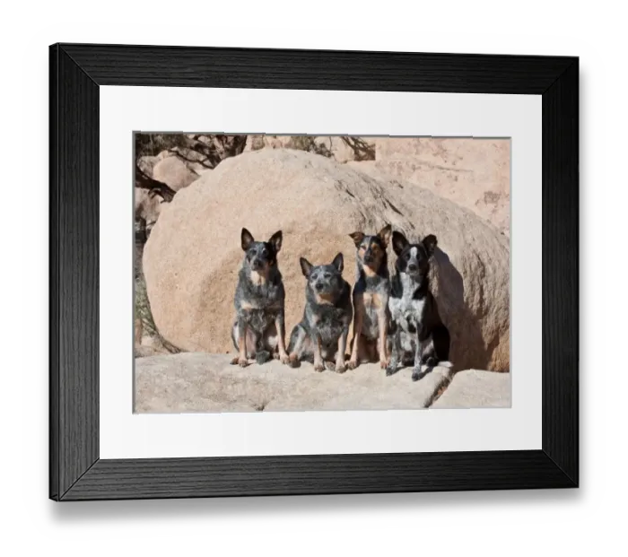 Framed Print : USA, North America, California Framed Print : USA, North America, California