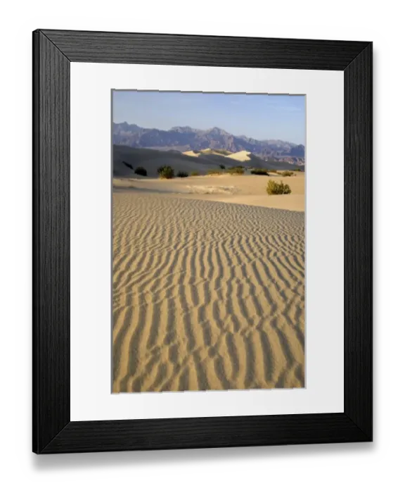 Framed Print : USA, North America, California
