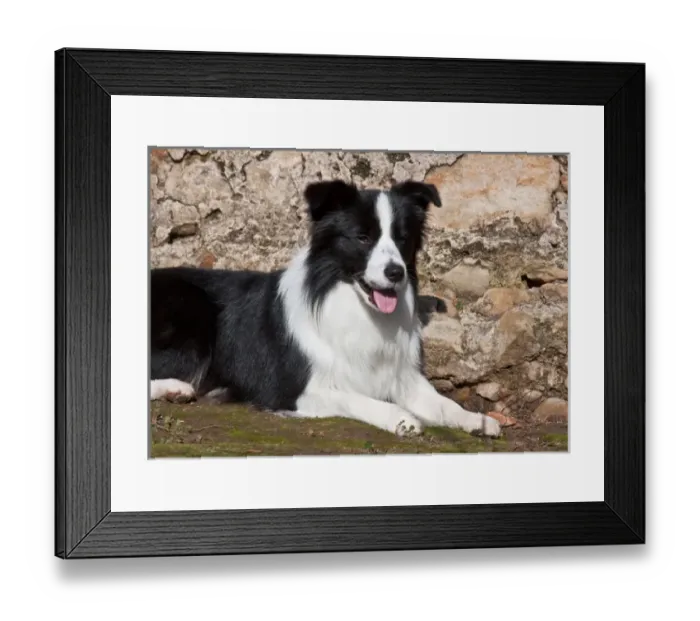 Framed Print : USA, North America, California