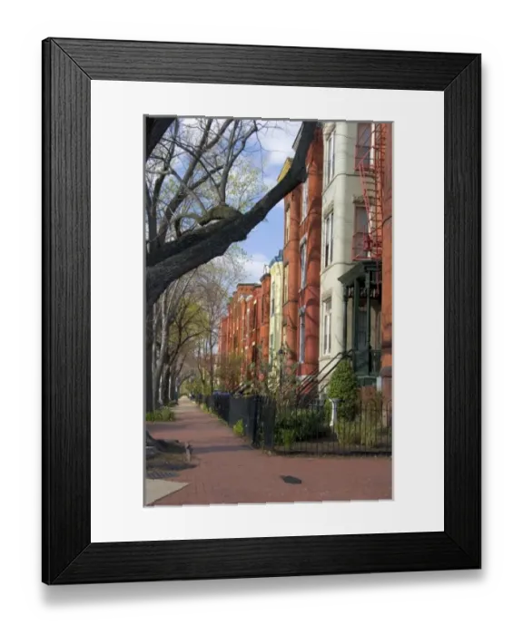 Framed Print : Brick row houses on Capitol Hill in Washington, D. C