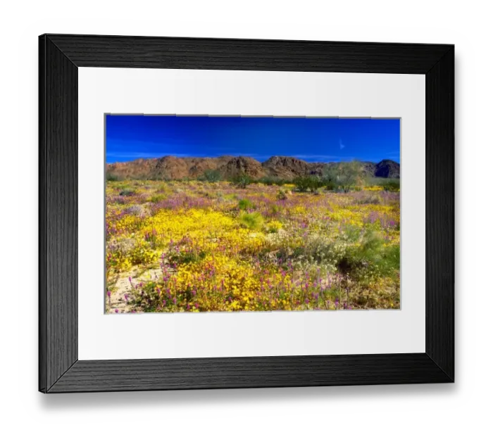 Framed Print : USA, California, Joshua Tree National Park