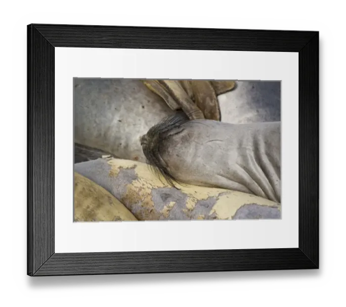 Framed Print : USA, North America, California Framed Print : USA, North America, California