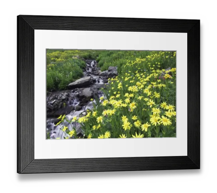 Framed Print : USA, North America, Colorado Framed Print : USA, North America, Colorado