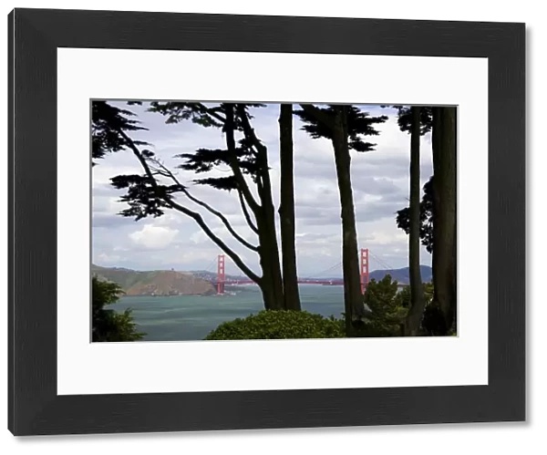 SAN FRANCISCO, CALIFORNIA. USA. View of Golden Gate Bridge from Lincoln Park
