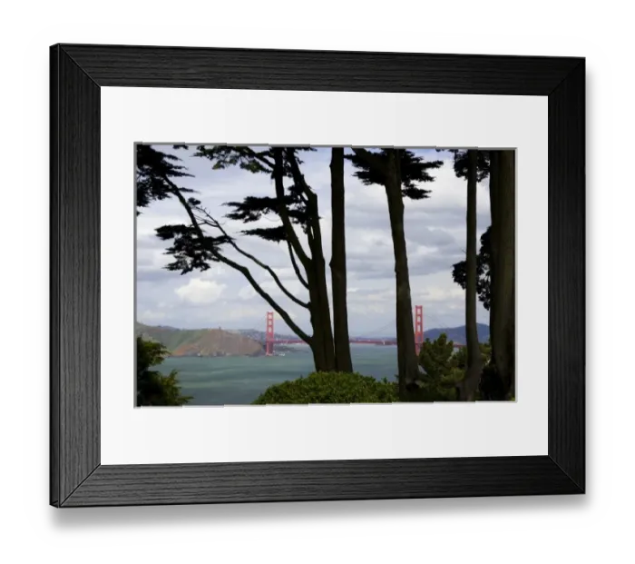 Framed Print : SAN FRANCISCO, CALIFORNIA. USA. View of Golden Gate Bridge from Lincoln Park Framed Print : SAN FRANCISCO, CALIFORNIA. USA. View of Golden Gate Bridge from Lincoln Park