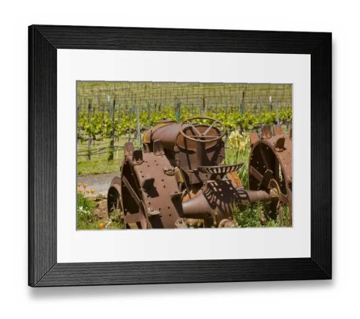 Framed Print : USA, North America, California Framed Print : USA, North America, California
