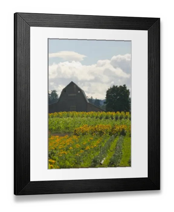 Framed Print : USA, North America, Washington Framed Print : USA, North America, Washington