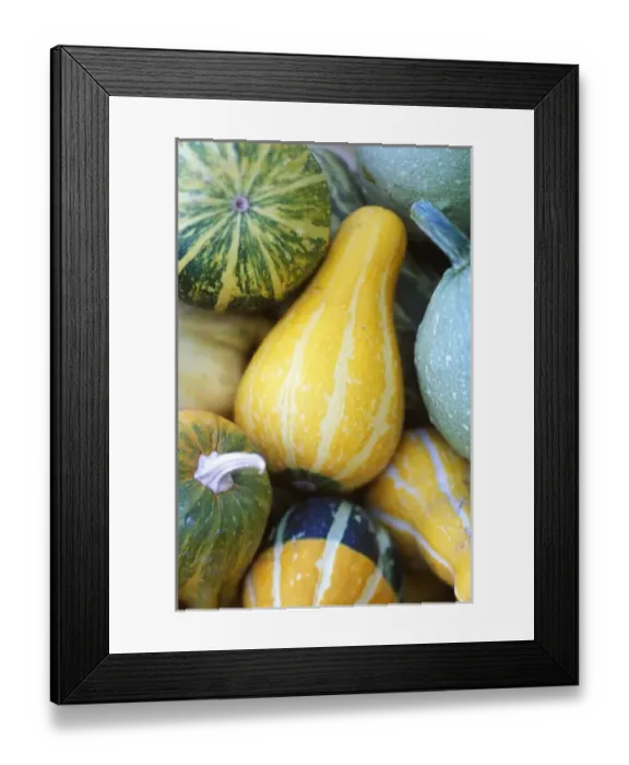 Framed Print : USA, North America, Washington Framed Print : USA, North America, Washington