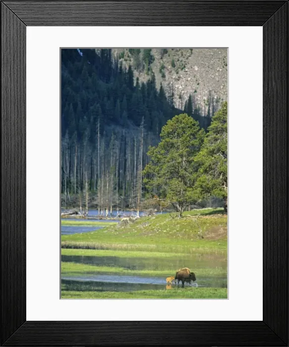 Framed Print : USA, North America, Wyoming Framed Print : USA, North America, Wyoming