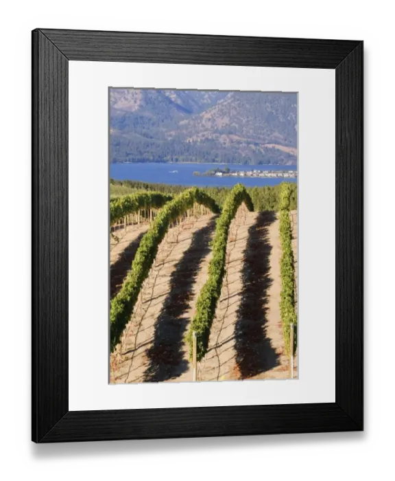 Framed Print : USA, North America, Washington