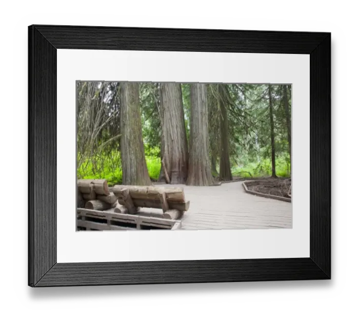 Framed Print : USA, North America, Washington