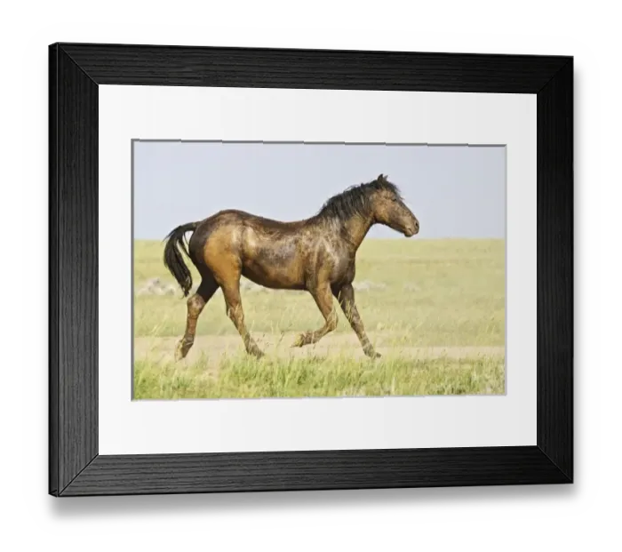 Framed Print : USA, North America, Wyoming Framed Print : USA, North America, Wyoming