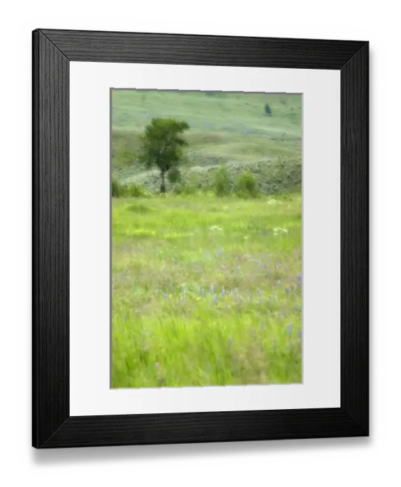 Framed Print : USA, North America, Wyoming Framed Print : USA, North America, Wyoming