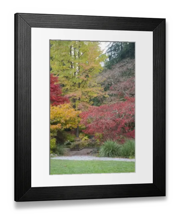 Framed Print : USA, North America, Washington
