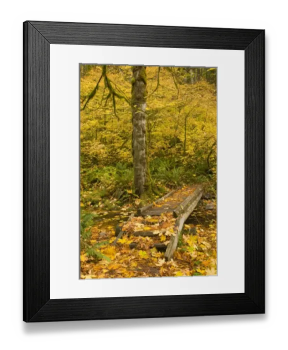 Framed Print : USA, North America, Washington Framed Print : USA, North America, Washington