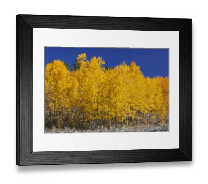 Framed Print : USA, North America, Wyoming