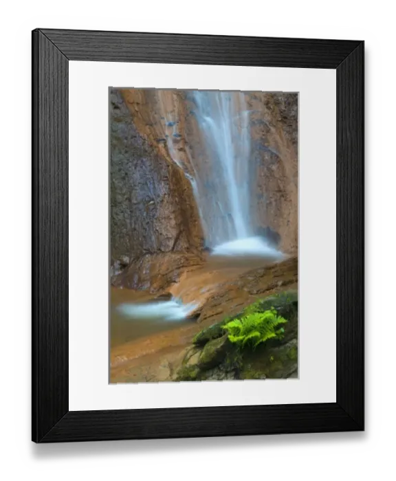 Framed Print : North Fork Falls, Cougar Mountain Regional Wildland Park, Washington, USA