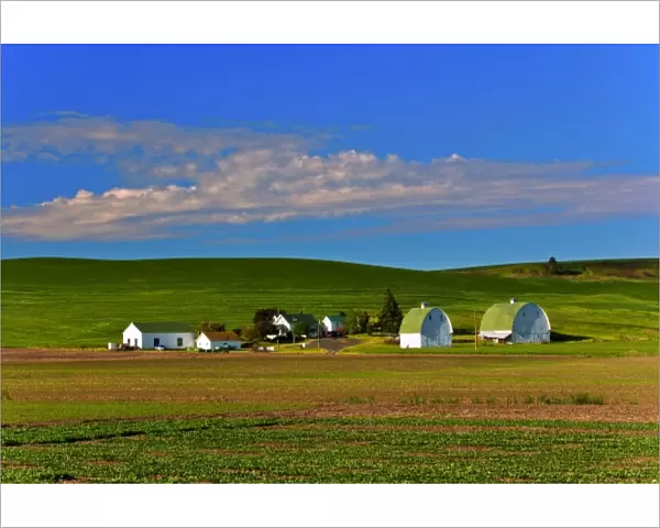 Viewing a farm in Palouse west of Colfax in Washington State