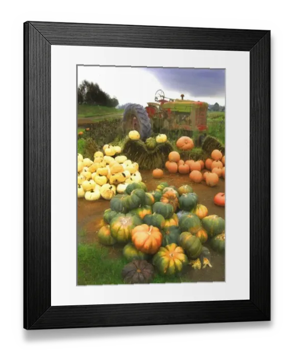 Framed Print : USA, North America, Washington Framed Print : USA, North America, Washington