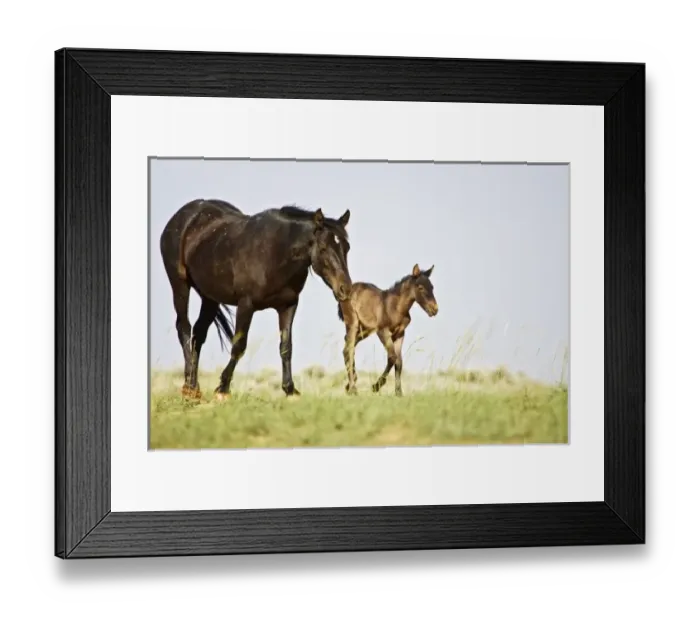 Framed Print : USA, North America, Wyoming