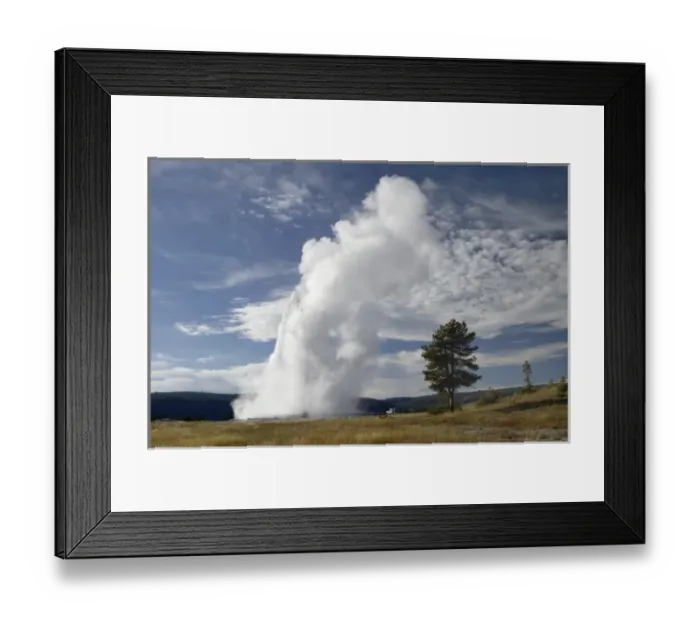 Framed Print : Old Faithful erupting, Yellowstone NP, Wyoming Framed Print : Old Faithful erupting, Yellowstone NP, Wyoming