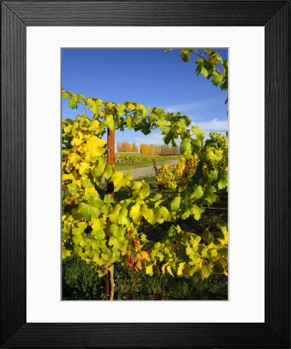 Framed Print : USA, North America, Washington