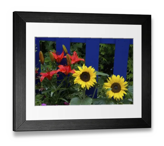 Framed Print : USA, North America, Washington Framed Print : USA, North America, Washington