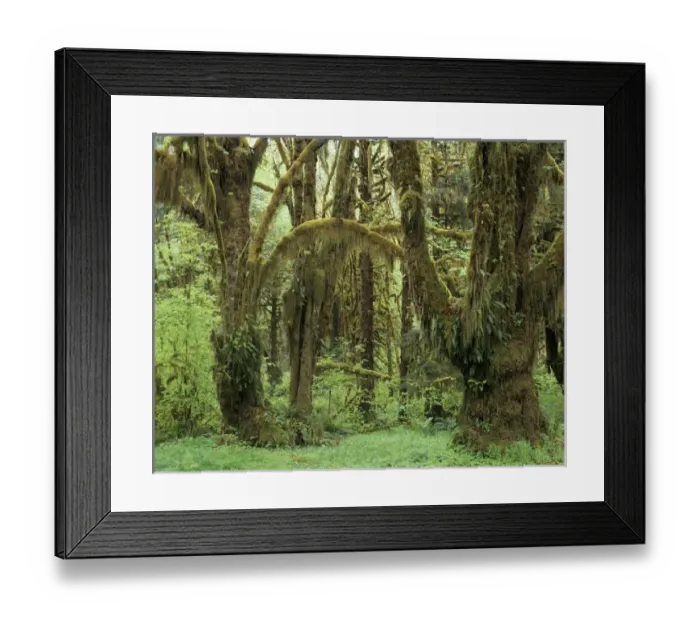 Framed Print : USA, North America, Washington