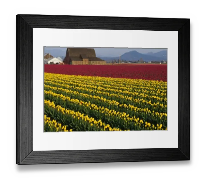 Framed Print : USA, North America, Washington Framed Print : USA, North America, Washington