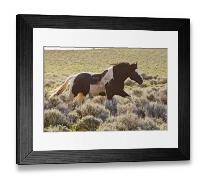 Framed Print : USA, North America, Wyoming Framed Print : USA, North America, Wyoming
