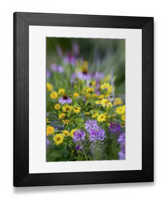 Framed Print : USA, North America, Washington Framed Print : USA, North America, Washington