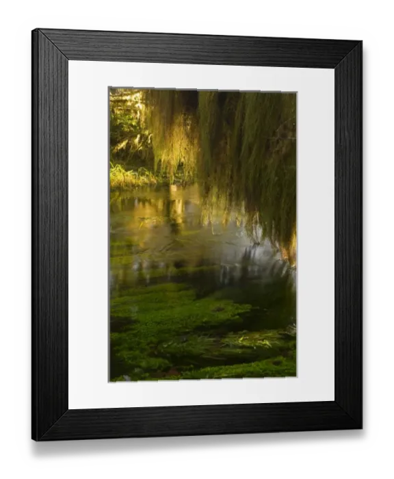 Framed Print : USA, North America, Washington