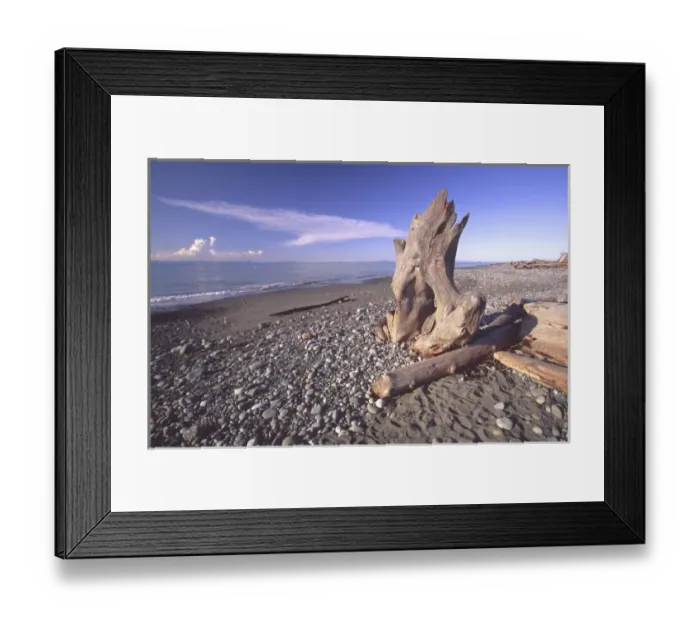 Framed Print : Driftwood and Blue Skies on the Dungeness Spit, Dungeness National Wildlife Refuge Framed Print : Driftwood and Blue Skies on the Dungeness Spit, Dungeness National Wildlife Refuge