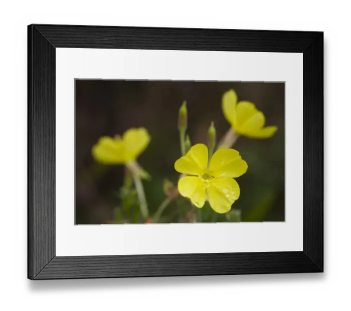 Framed Print : USA, North America, Washington Framed Print : USA, North America, Washington