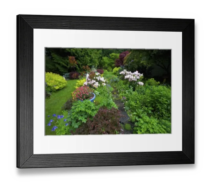 Framed Print : Garden path designs in our Garden Sammamish, Washington