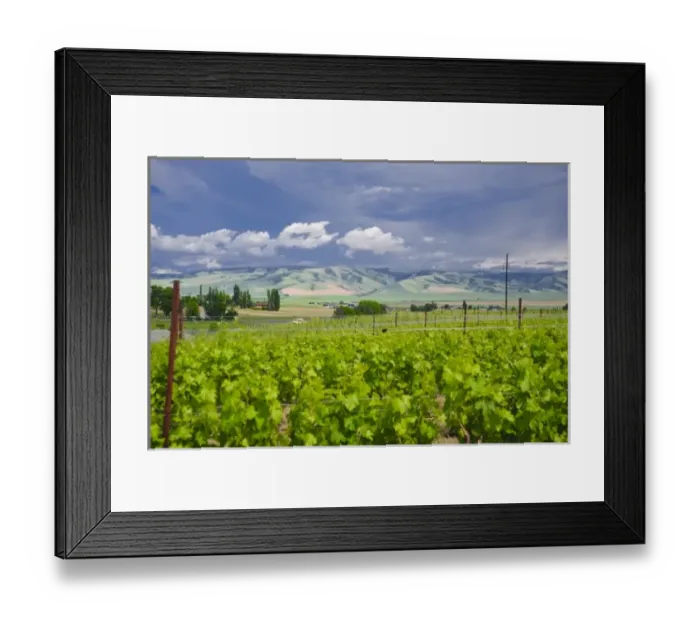 Framed Print : USA, North America, Washington Framed Print : USA, North America, Washington