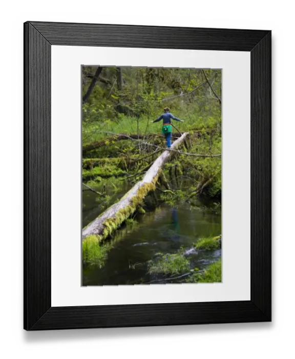 Framed Print : USA, North America, Washington