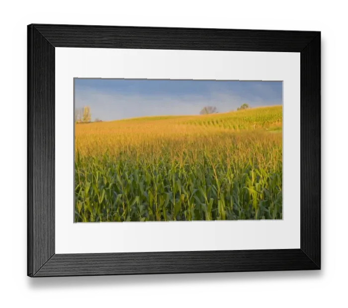 Framed Print : USA, North America, Wisconson Framed Print : USA, North America, Wisconson