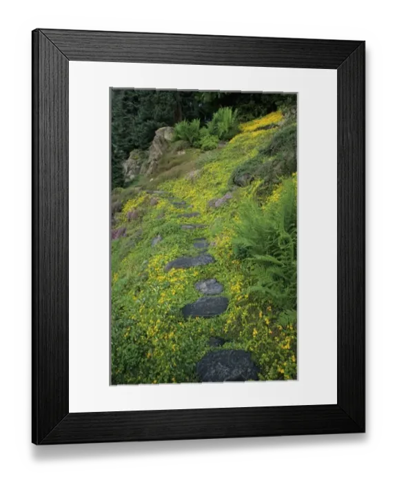 Framed Print : USA, North America, Washington Framed Print : USA, North America, Washington
