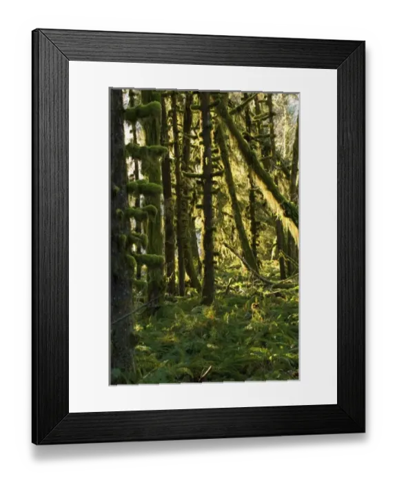 Framed Print : USA, North America, Washington