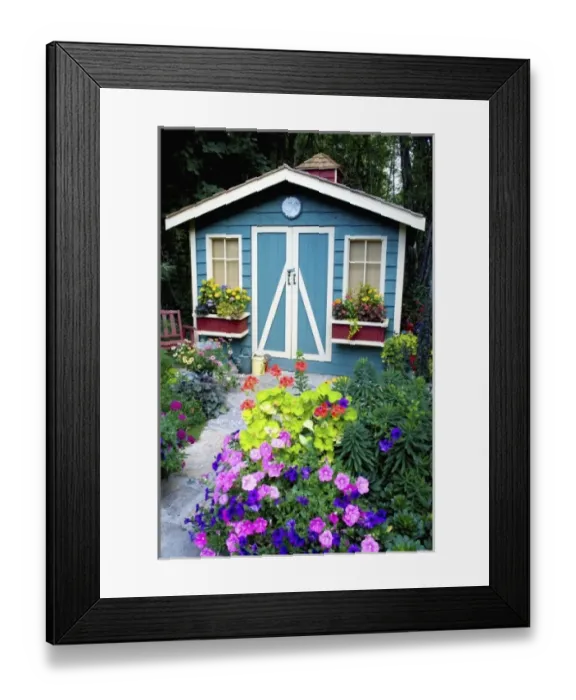 Framed Print : Garden Shed surrounded by flowers in our garden - Sammamish, Washington Framed Print : Garden Shed surrounded by flowers in our garden - Sammamish, Washington