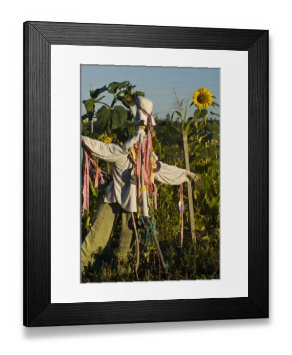 Framed Print : USA, North America, Washington