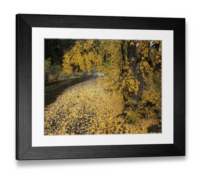 Framed Print : USA, North America, Washington Framed Print : USA, North America, Washington