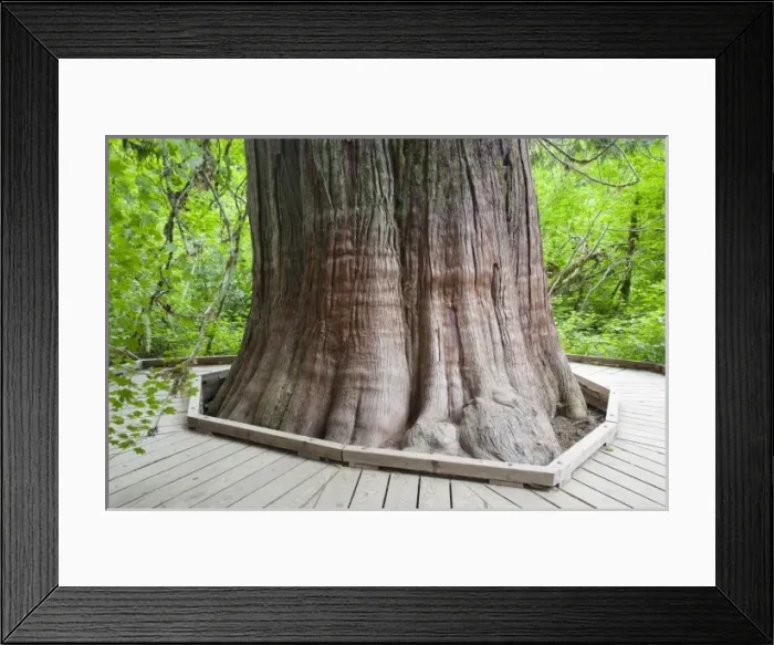 Framed Print : USA, North America, Washington Framed Print : USA, North America, Washington