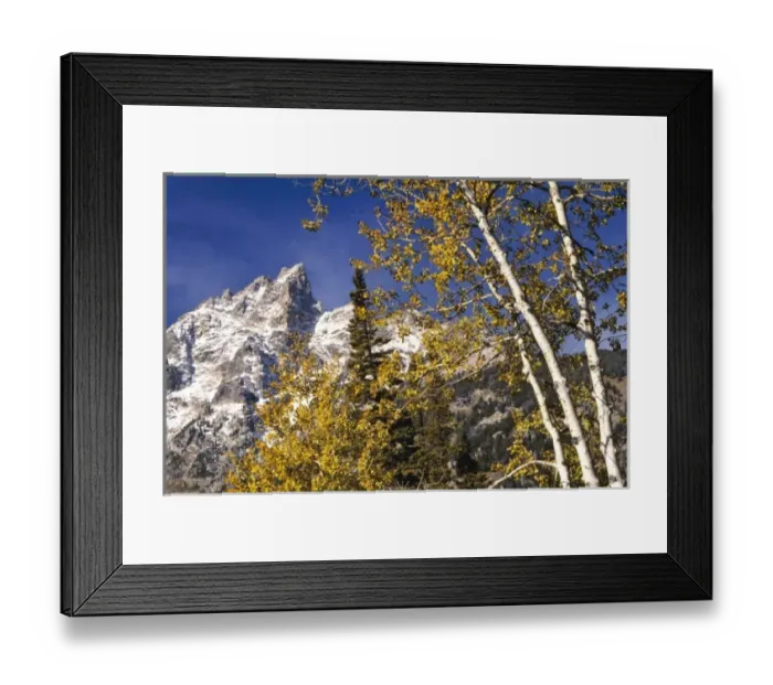 Framed Print : USA, Wyoming, Grand Teton NP. Autumn color compliments the snowy, jagged peaks in Framed Print : USA, Wyoming, Grand Teton NP. Autumn color compliments the snowy, jagged peaks in