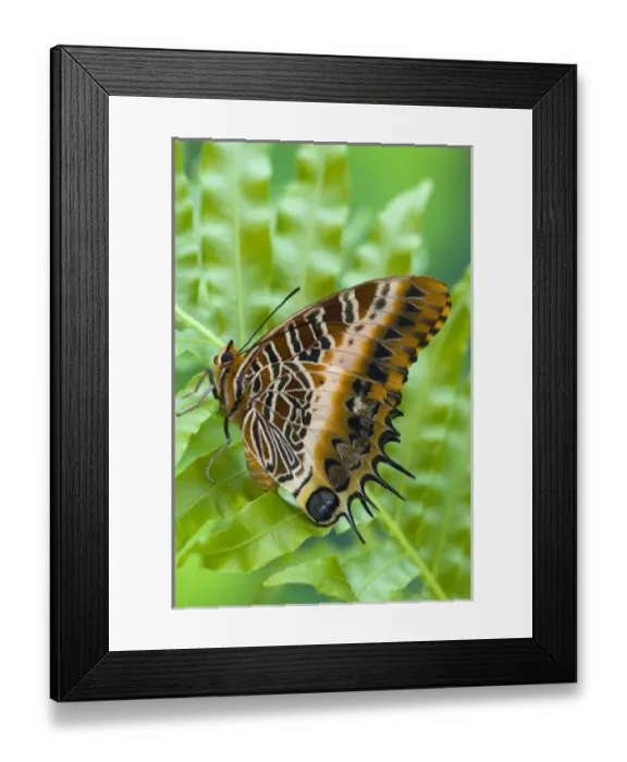 Framed Print : USA, North America, Washington Framed Print : USA, North America, Washington
