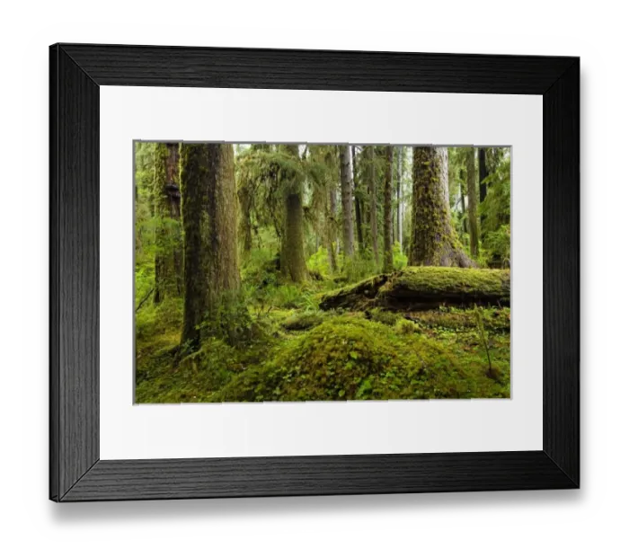 Framed Print : USA, North America, Washington Framed Print : USA, North America, Washington