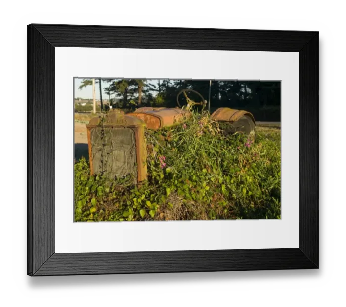 Framed Print : USA, North America, Washington Framed Print : USA, North America, Washington